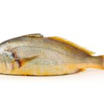 Yellow Croaker (Whole) view 5