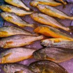 Yellow Croaker (Whole) view 4