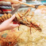 Lobster view 1