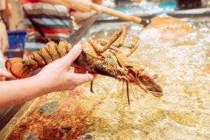 Lobster